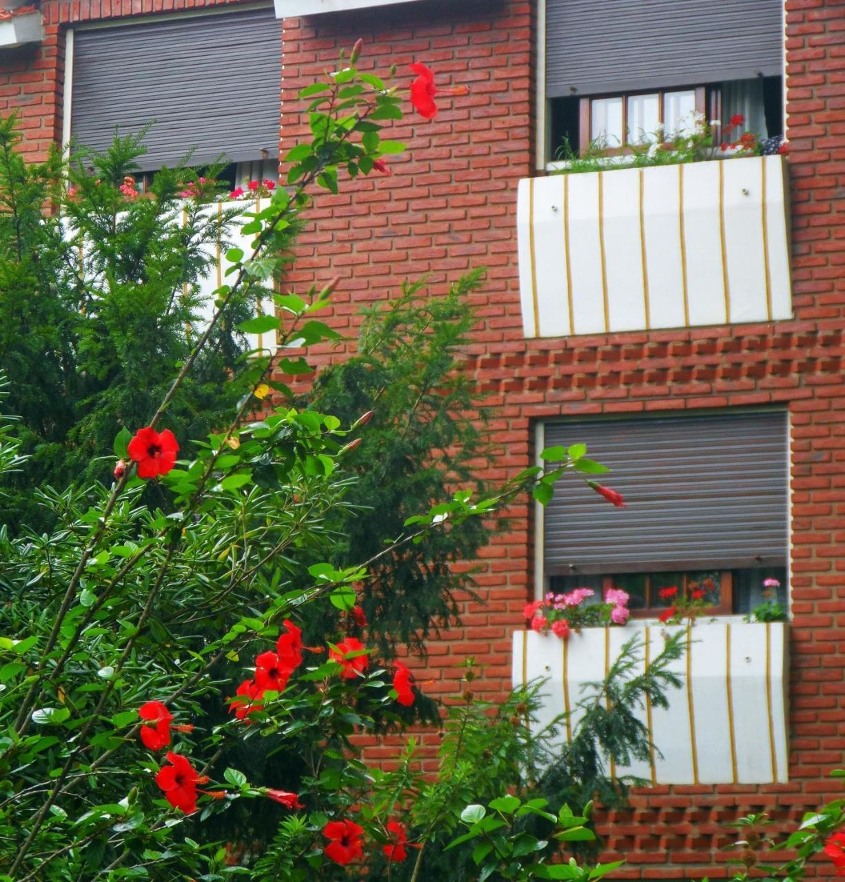 Hotel Eo Park ซันเกลเมนเตเดลตูยู ภายนอก รูปภาพ
